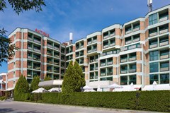 Aktinia - photo 2