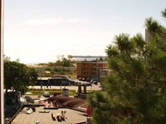 Balaton - photo 42