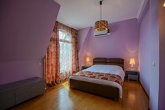 Purple Star Complex - photo 14