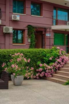 Purple Star Complex - photo 4