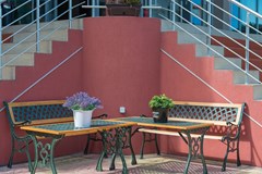 Tia Maria - photo 79
