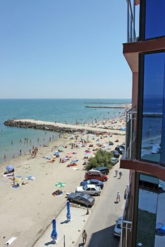 Sunny Bay - photo 12