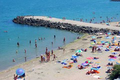 Sunny Bay - photo 13