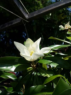 Discret - photo 12