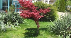 Sirena_SB - photo 26