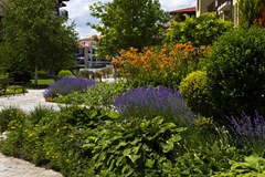 Garden of Eden Hotel - photo 22