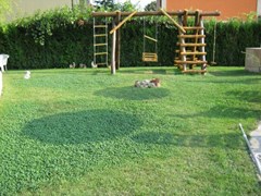 Atlant - photo 11