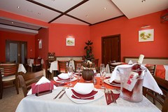 Pinkovi Family Hotel - photo 16