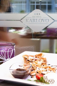 Karlovo - photo 24
