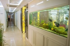Harmony Suites 8&9 Aparthotel /Dream Island/ - photo 22