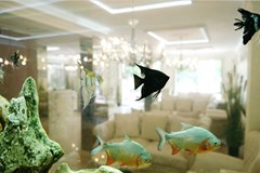 Harmony Suites 8&9 Aparthotel /Dream Island/ - photo 33