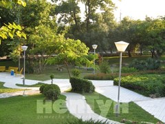 Neptun - photo 22