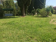 Magnolia Family Hotel - photo 8
