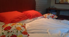 Deykin Family hotel - photo 19