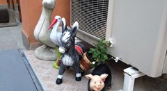 Deykin Family hotel - photo 23