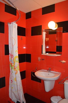 Deykin Family hotel - photo 31