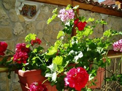 Kirios Family hotel - photo 1
