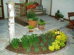Kirios Family hotel - photo 9