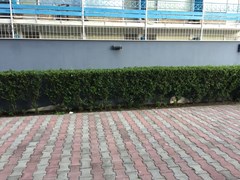 Palm Residence Aparthotel - photo 21