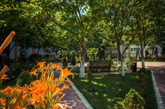 Sunny Fort_FORT NOKS - photo 1