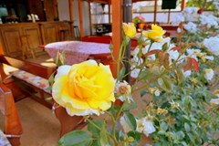 Ryor - photo 32