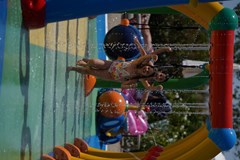 Wave Resort - photo 186