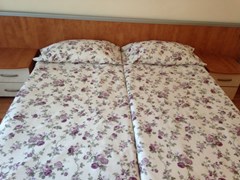Atol - photo 31