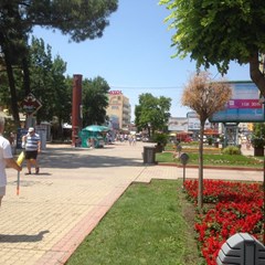 Atol - photo 38