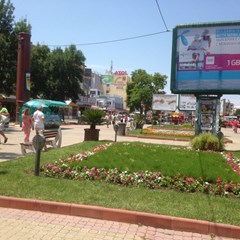 Atol - photo 39