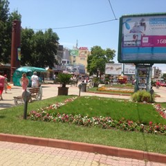 Atol - photo 40