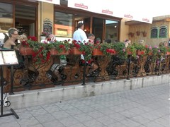 Atol - photo 52