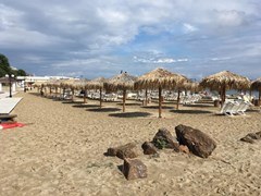 Corona - photo 7