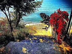 Horizont Complex - photo 10