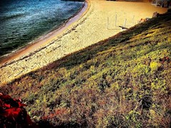 Horizont Complex - photo 12