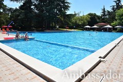 Ambassador - photo 1