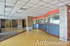 Ambassador - photo 2