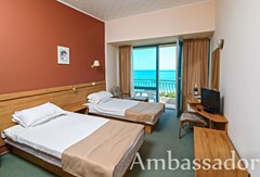 Ambassador - photo 3