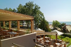 Bellevue - photo 13
