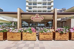 Bellevue - photo 41