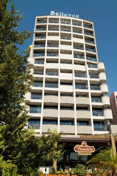 Bellevue - photo 8