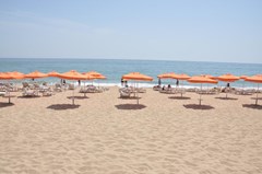 Palm Beach - photo 26