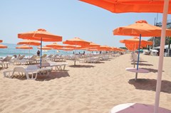 Palm Beach - photo 27