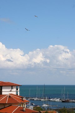 Panorama - photo 12