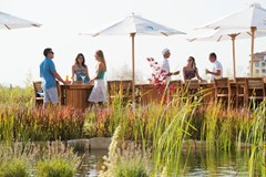 Sunrise All Suites Resort - photo 11