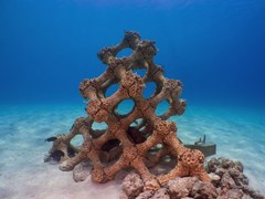 Summer Island Maldives Resort - photo 191