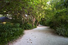Summer Island Maldives Resort - photo 35
