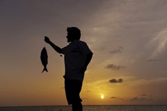 Summer Island Maldives Resort - photo 188