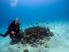 Summer Island Maldives Resort - photo 192