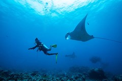 Summer Island Maldives Resort - photo 228