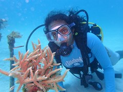 Summer Island Maldives Resort - photo 197